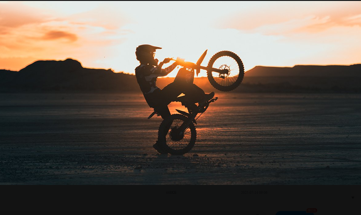 GT73 Pro Dual-Battery Off-Road All-Terrain Electric Dirt Bike with Pedals