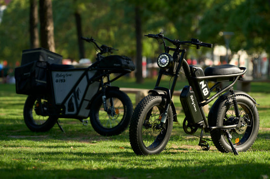 Black Z8 e-bike with fat tires parked on grass in park with another electric bike in background