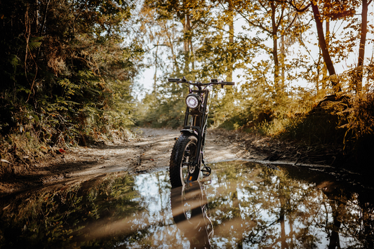 Throttle-assist electric bike standing on muddy forest trail with sunlight filtering through trees