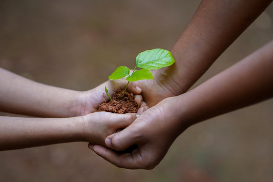 Hands of different people holding soil with small green plant symbolizing Earth Day 2025 and environmental care