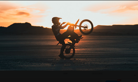 GT73 Pro ebike pro-paved road, terrain & snow performance