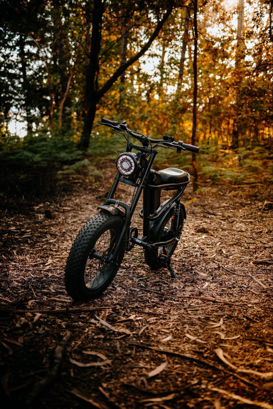 Riding Times electric bike in forest with advanced controllers and sensors for smooth power and extended riding times