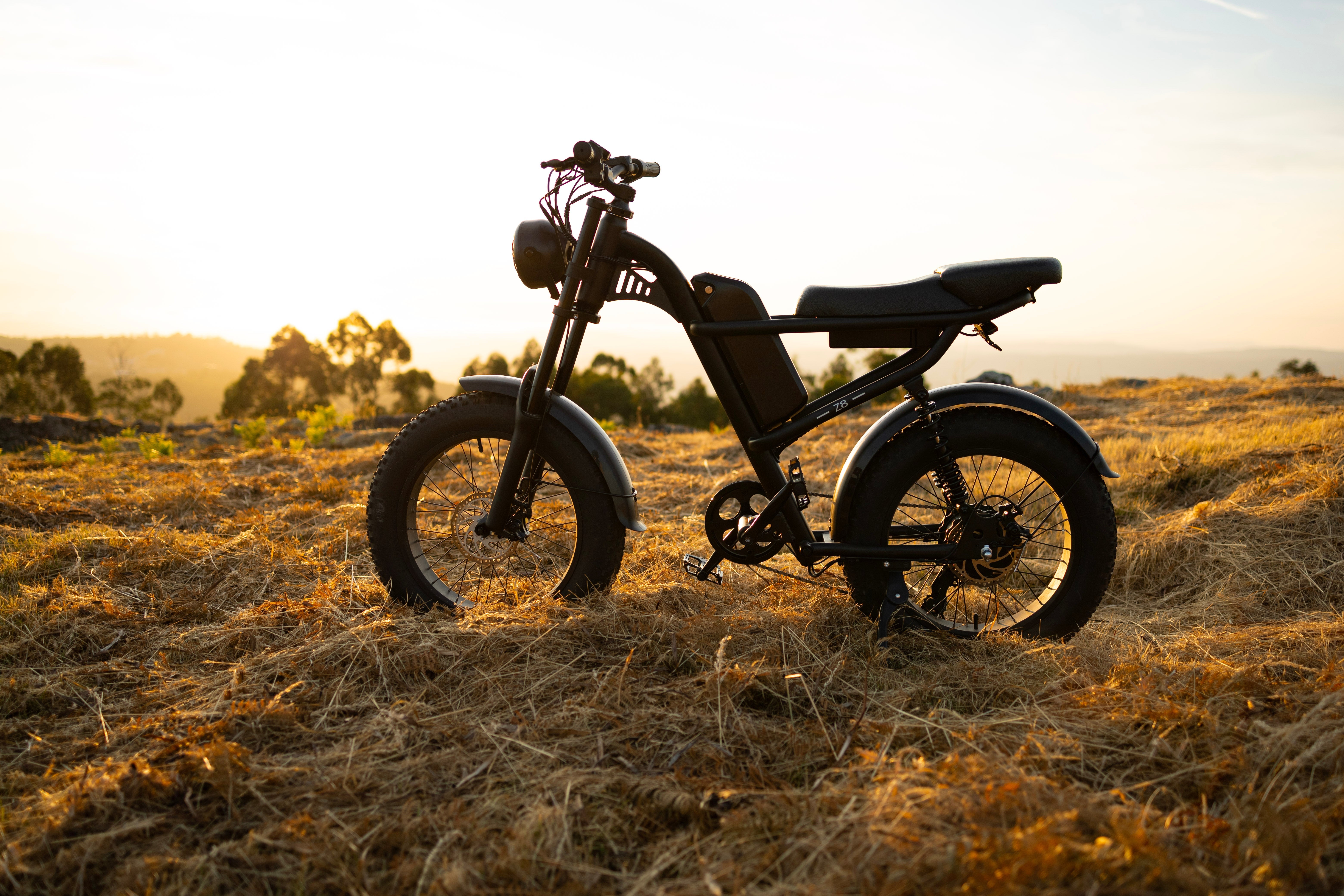 Collections | Riding'times