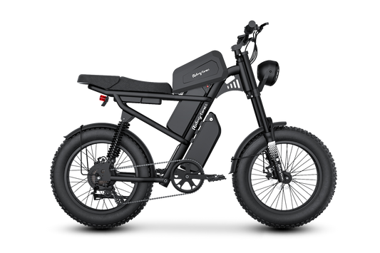 Z8 Moped-Style Electric Bike Pro