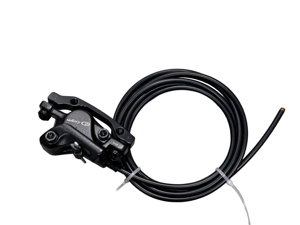 Hydraulic brake lever and hose